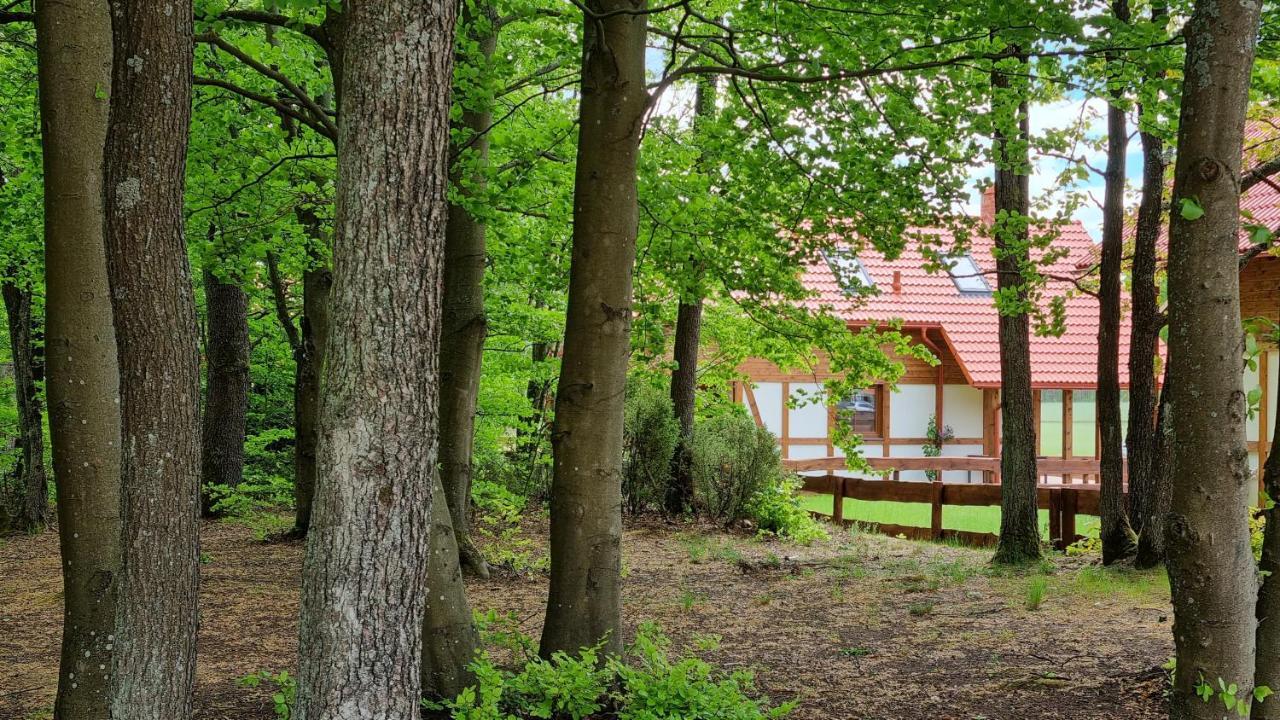 Holiday home Ptasie Radio, 48.2 Ostoja Bukowo *