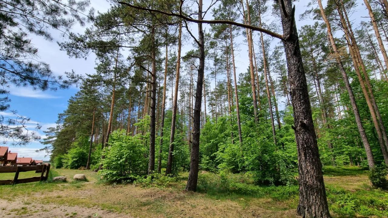 Ptasie Radio, 48.2 Ostoja Bukowo Holiday home *
