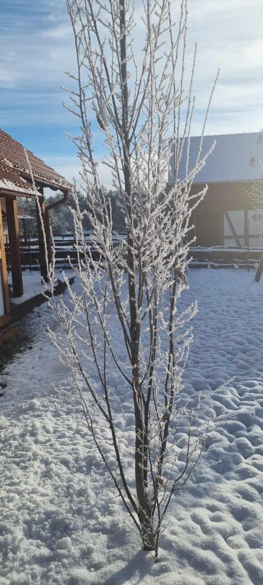 Ptasie Radio, 48.2 Ostoja Bukowo Holiday home